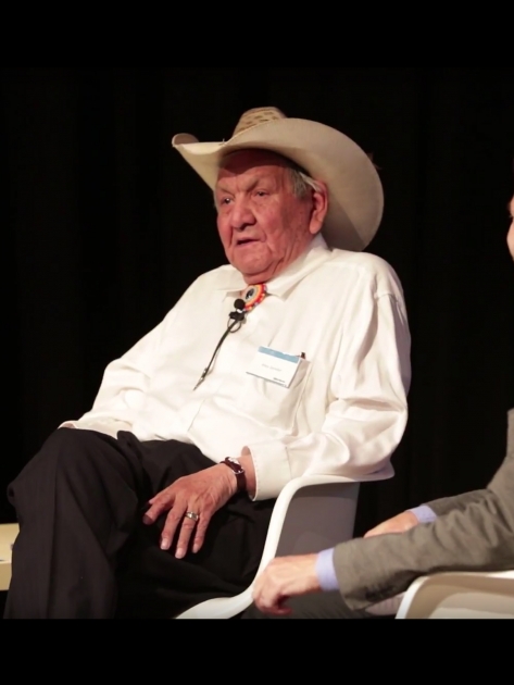 Alex Janvier